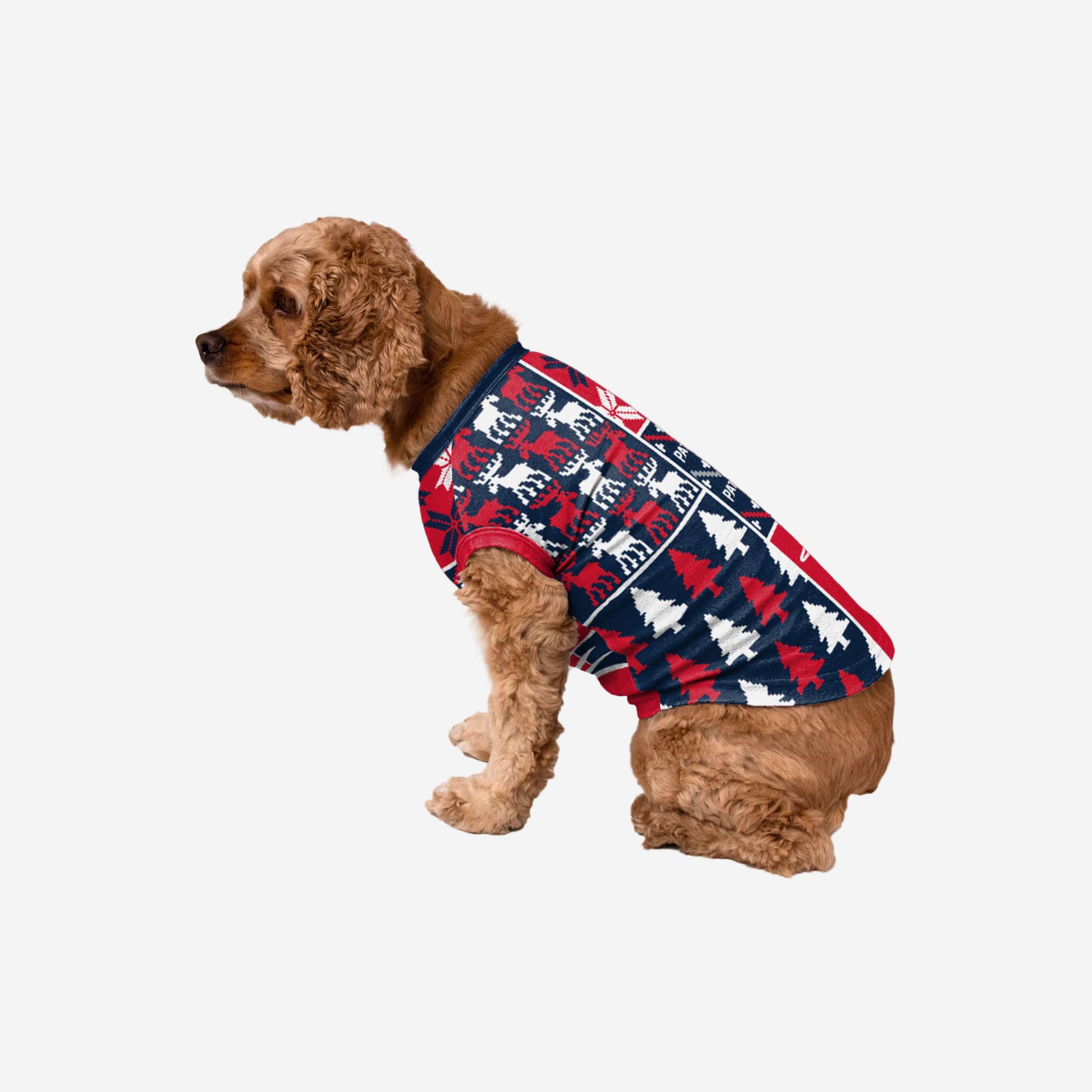 New England Patriots Busy Block Dog Sweater