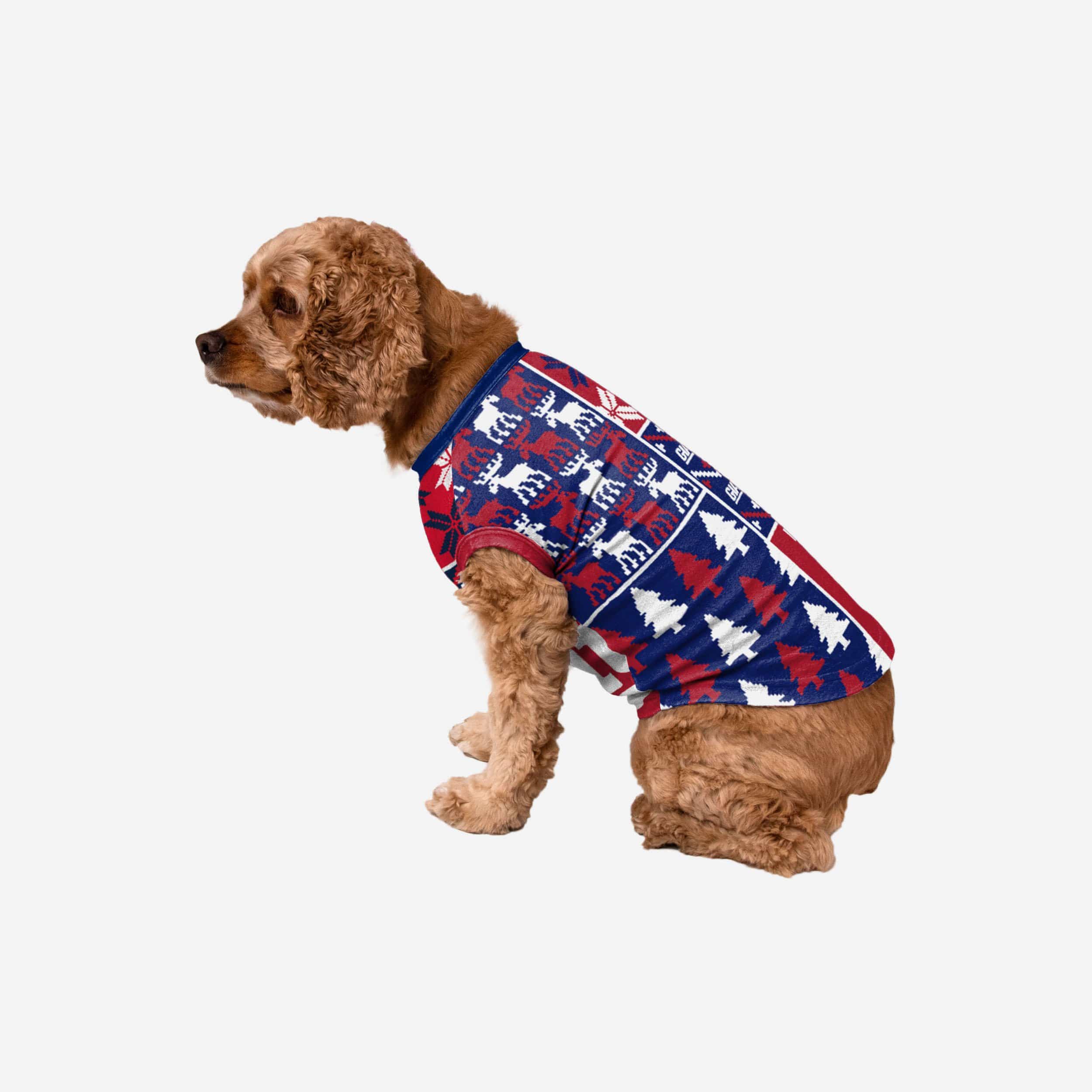 New York Giants Busy Block Dog Sweater