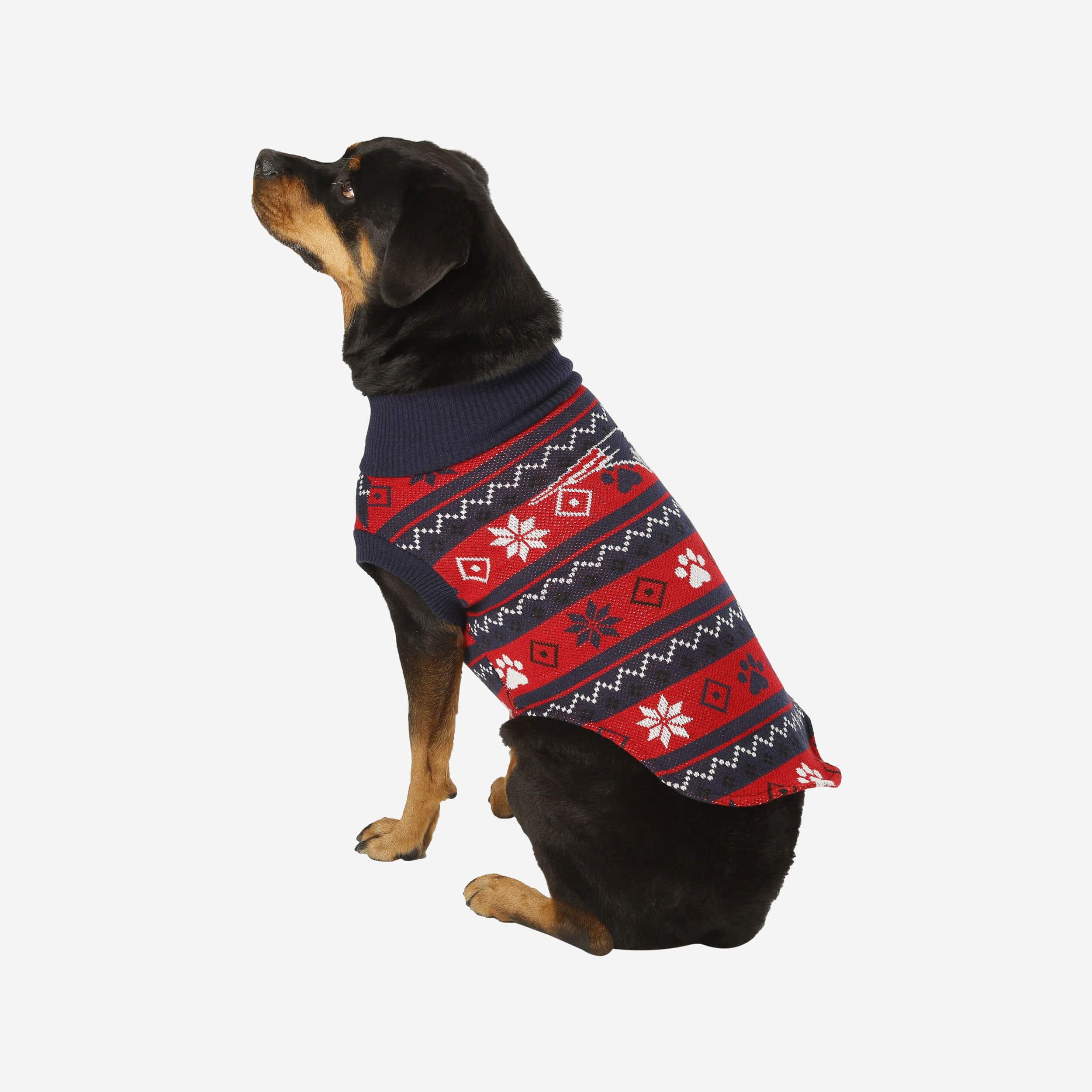 New England Patriots Knitted Holiday Dog Sweater